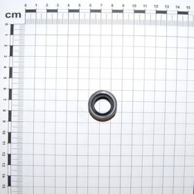 Maschio Gaspardo INEL\\ PRAF SP-520 G66248219R