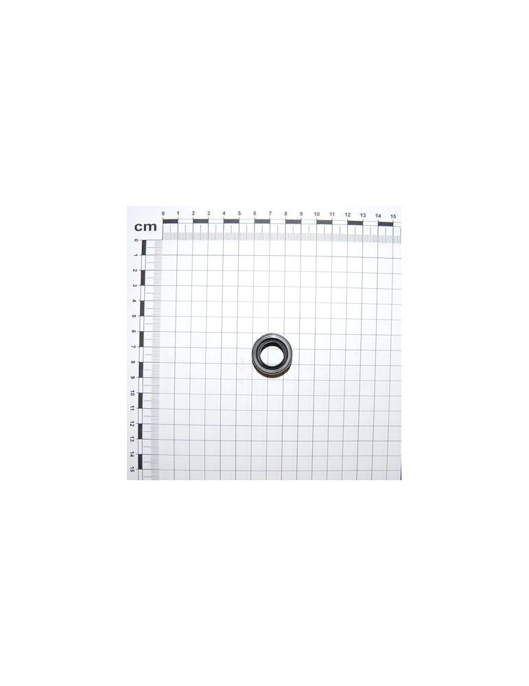 Maschio Gaspardo INEL\\ PRAF SP-520 G66248219R