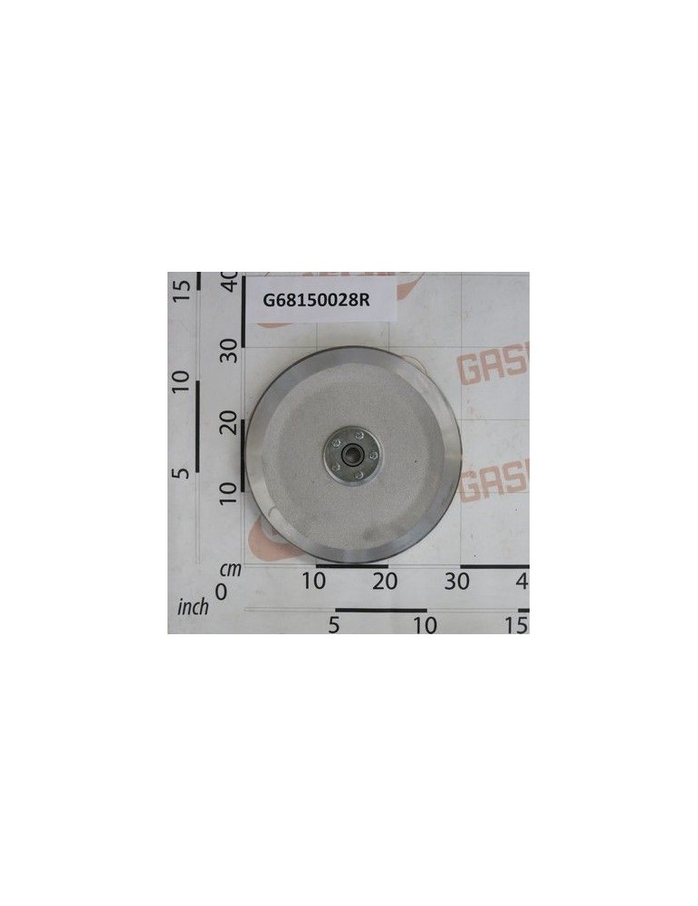 Maschio Gaspardo ROATA COMPLETA D.295 IX G68150028R