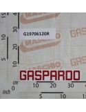 DECAL.GASPARDO H55.