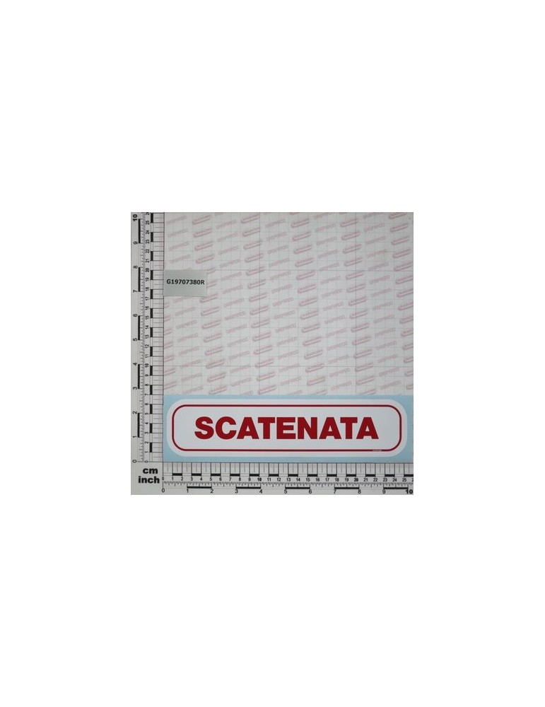 LABEL SCATENATA H75