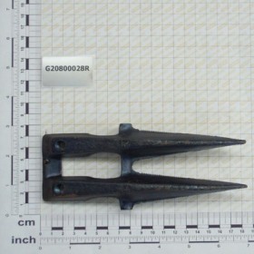 THICK DOUBLE TOOTH