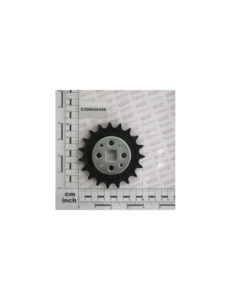 GEAR Z19 NYLON