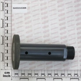 Maschio Gaspardo PERNO ROTAZ.BRACCIO D.50 NP GA5321530R