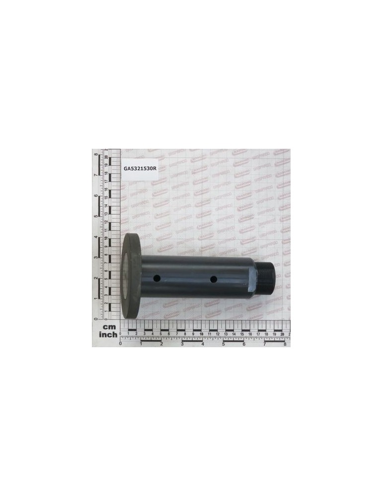Maschio Gaspardo PERNO ROTAZ.BRACCIO D.50 NP GA5321530R
