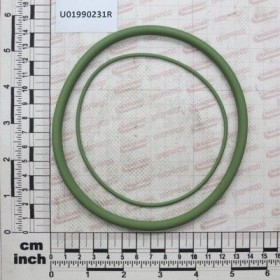 Maschio Gaspardo K.GUARN. OR VITON FILTRO ASP.2 U01990231R