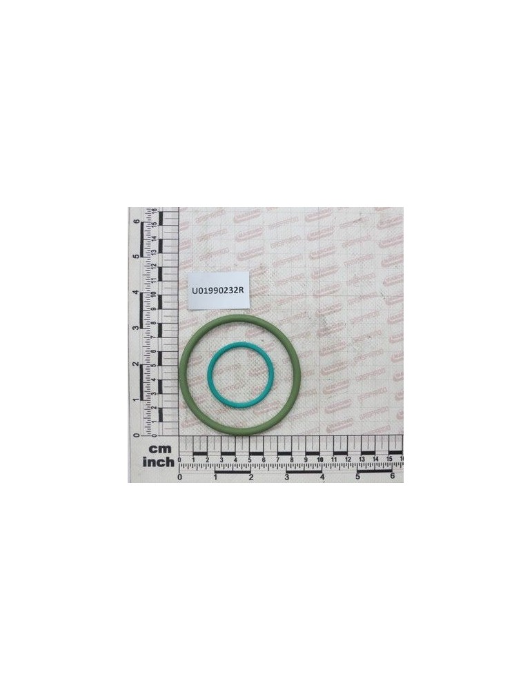 Maschio Gaspardo K.GUARN.OR VITON FILTRO MAND.1 U01990232R