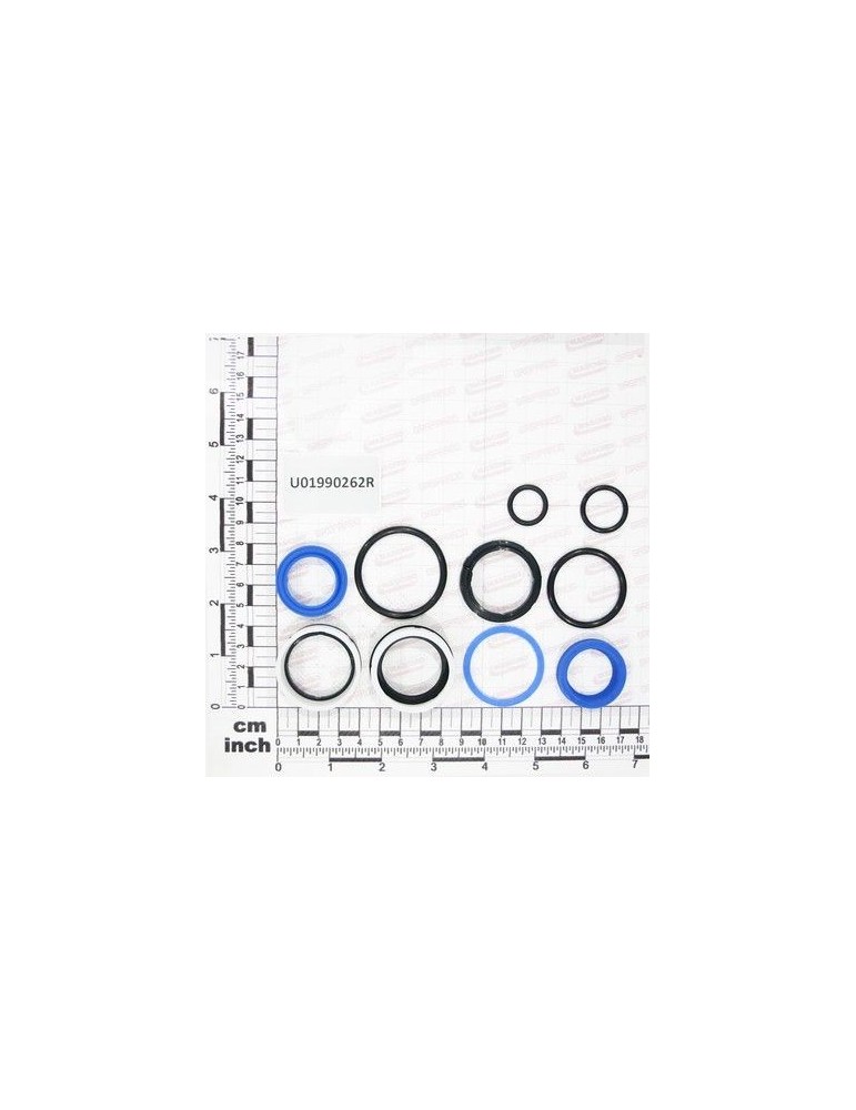 Maschio Gaspardo K.GUARN.X PIST. 04410045F U01990262R