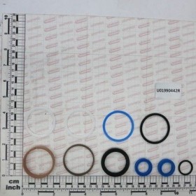 Maschio Gaspardo K.GUARN.X PIST.RBH51H004 U01990442R