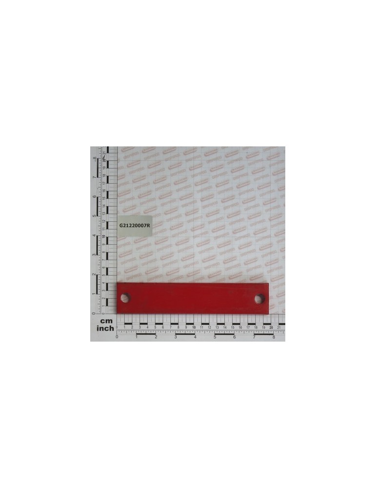 STRIKER PLATE