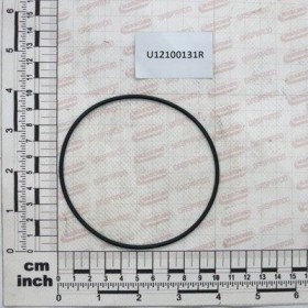 Maschio Gaspardo OR-100,2X2,6 EPDM FILTRO S.333 U12100131R