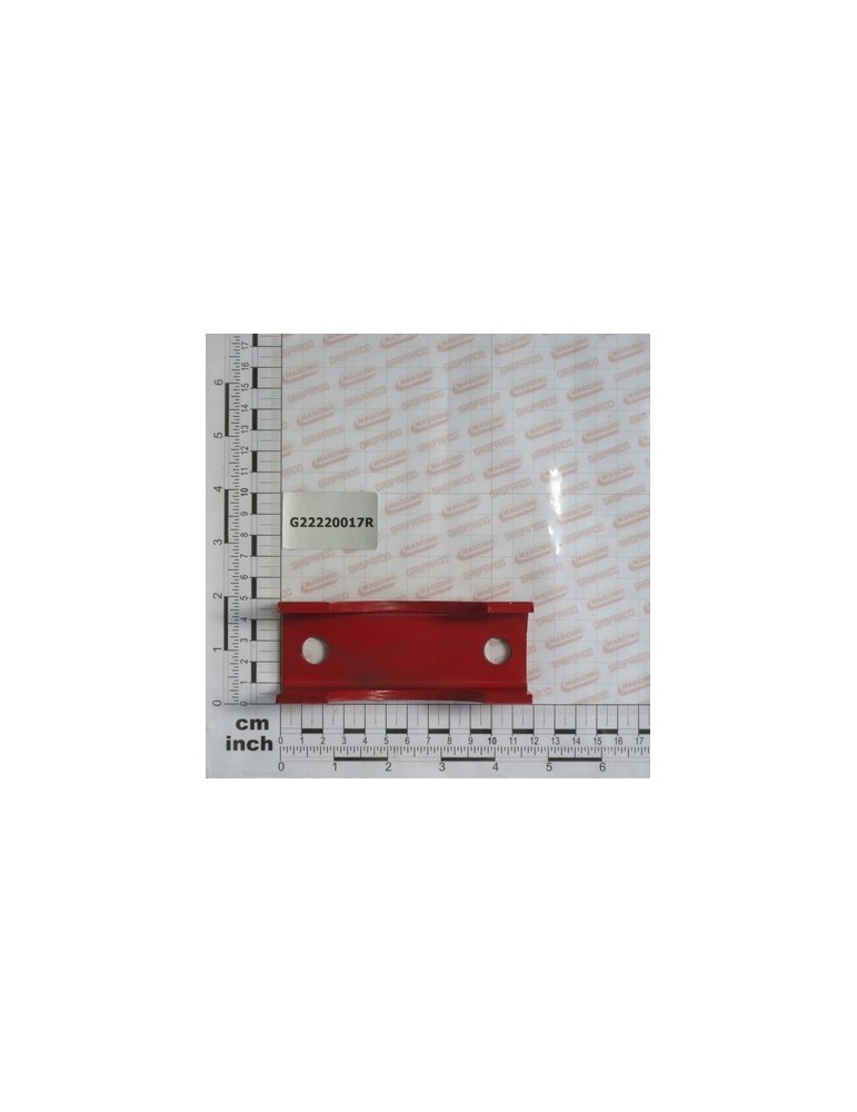 STRIKER PLATE