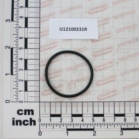 Maschio Gaspardo GARN. $39,34X44,58X2,62 OR3156 U12100231R