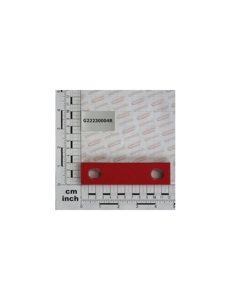 STRIKER PLATE