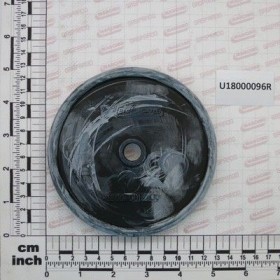 Maschio Gaspardo MEMB.POMPA $125 APS141-145 IDS U18000096R