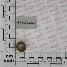 NUT M14X1 SV-USA