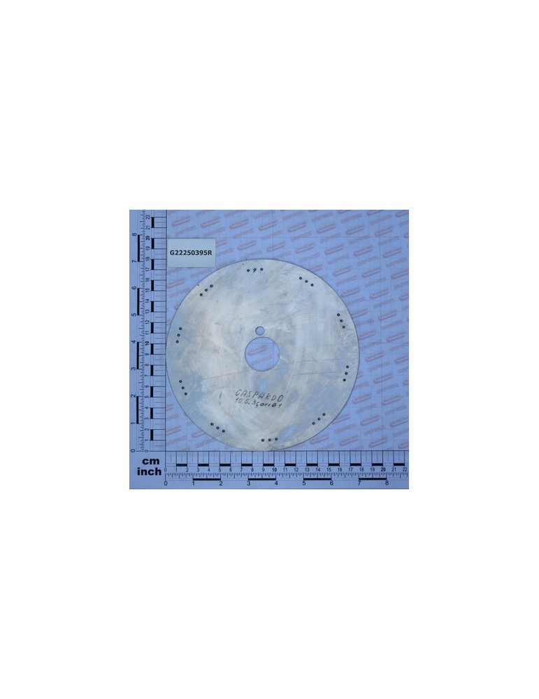 DISK POS.10G.3H.D1 SP.SV LM