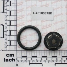 Maschio Gaspardo GR. VALV. ASPIR. BP281 UA0100878R