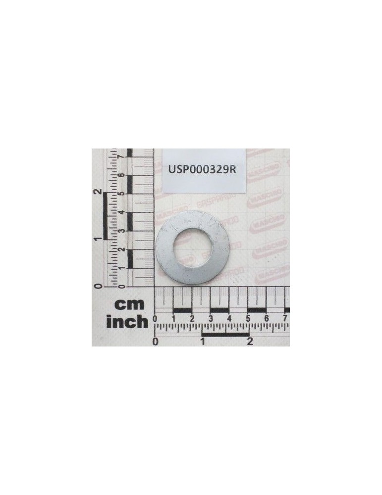 Maschio Gaspardo ARC TAZZA A $40X20,4X2,25 DI USP000329R