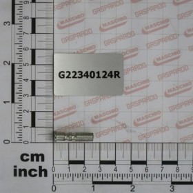 PIN ROLLER COUPLING MG