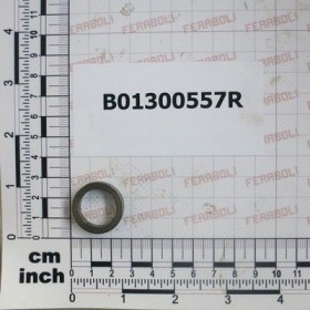 Maschio Gaspardo RALLA 15 25 5 B01300557R