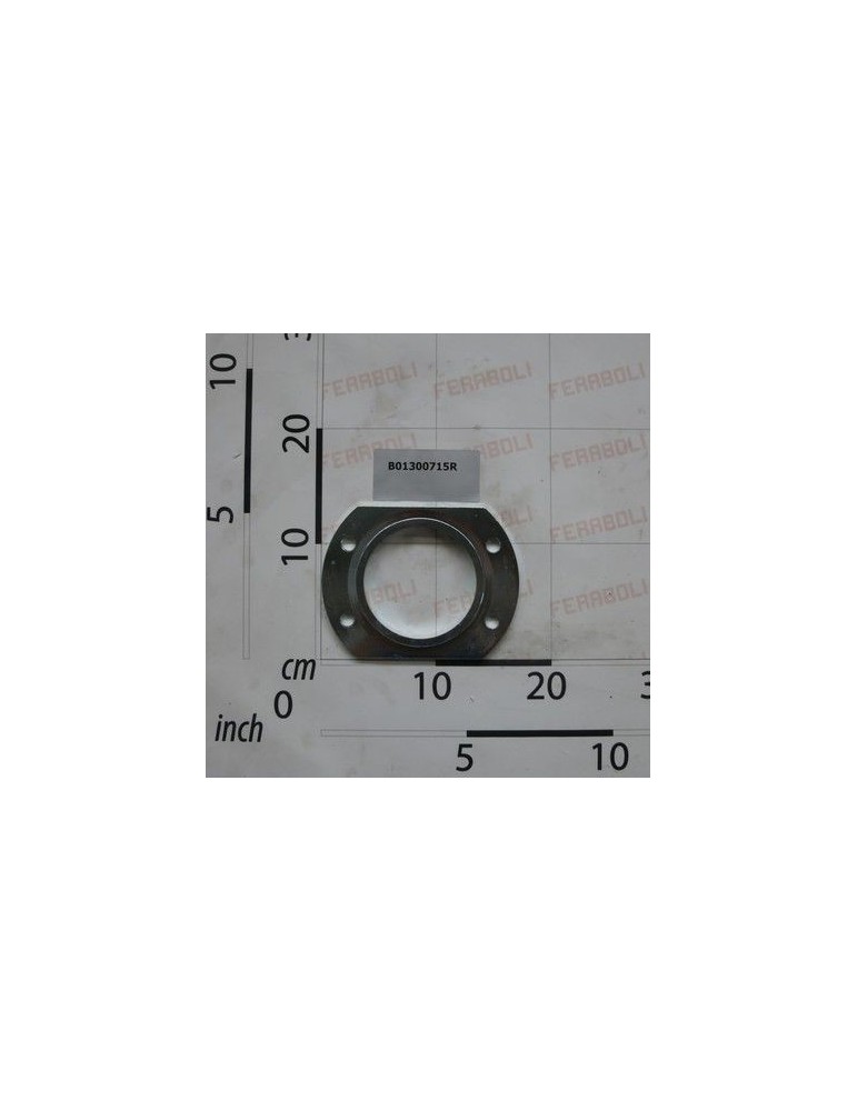 Maschio Gaspardo FLANGIA SX PICK-UP B01300715R
