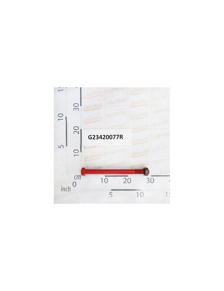 BOLT M 20X265