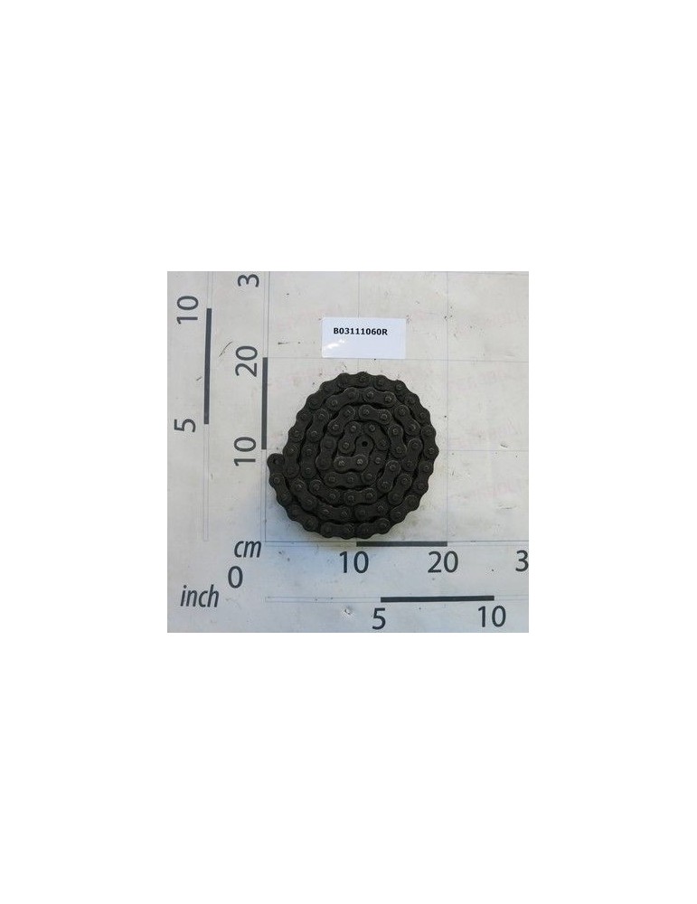 Maschio Gaspardo CATENA RULLI ï¾´ï¾´Aï¾´ï¾´ ASA 601 60MGL B03111060R