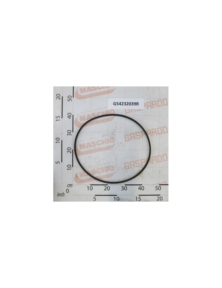 BELT- A 50
