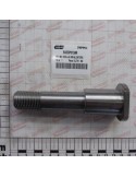 Maschio Gaspardo PERNO BIELLA INFALDATORE B035P0159R
