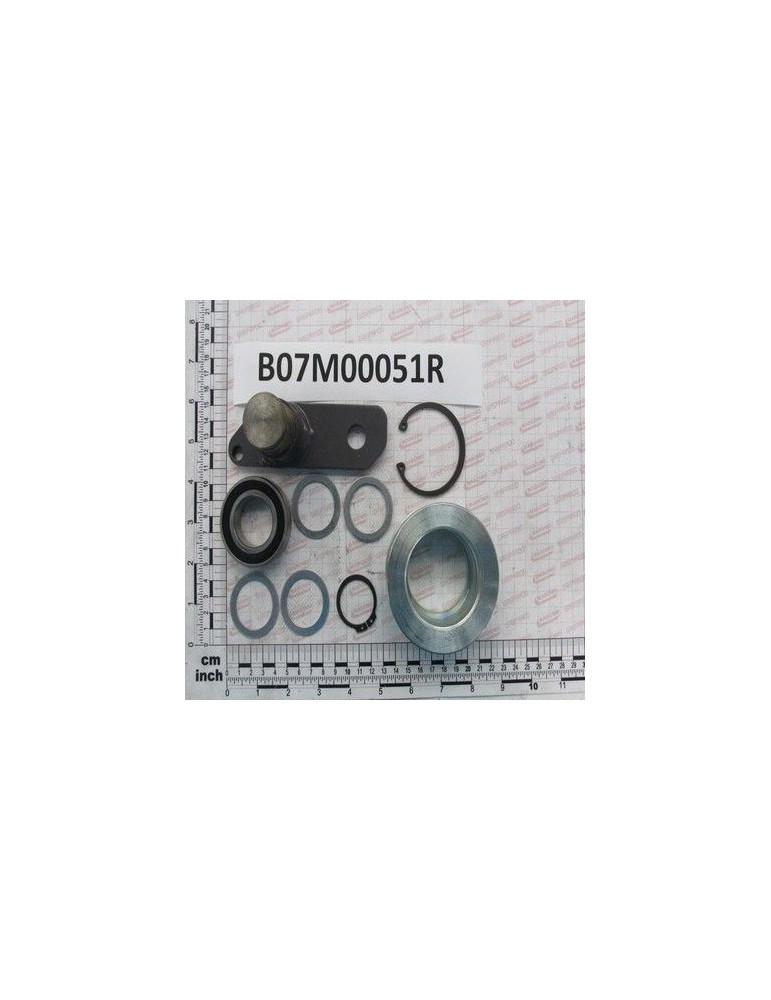 Maschio Gaspardo BUCSA GHIDAJ FIR B07M00051R