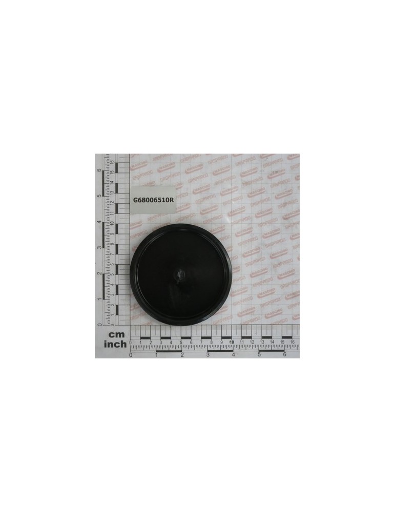 CAP FOR CONVEYOR