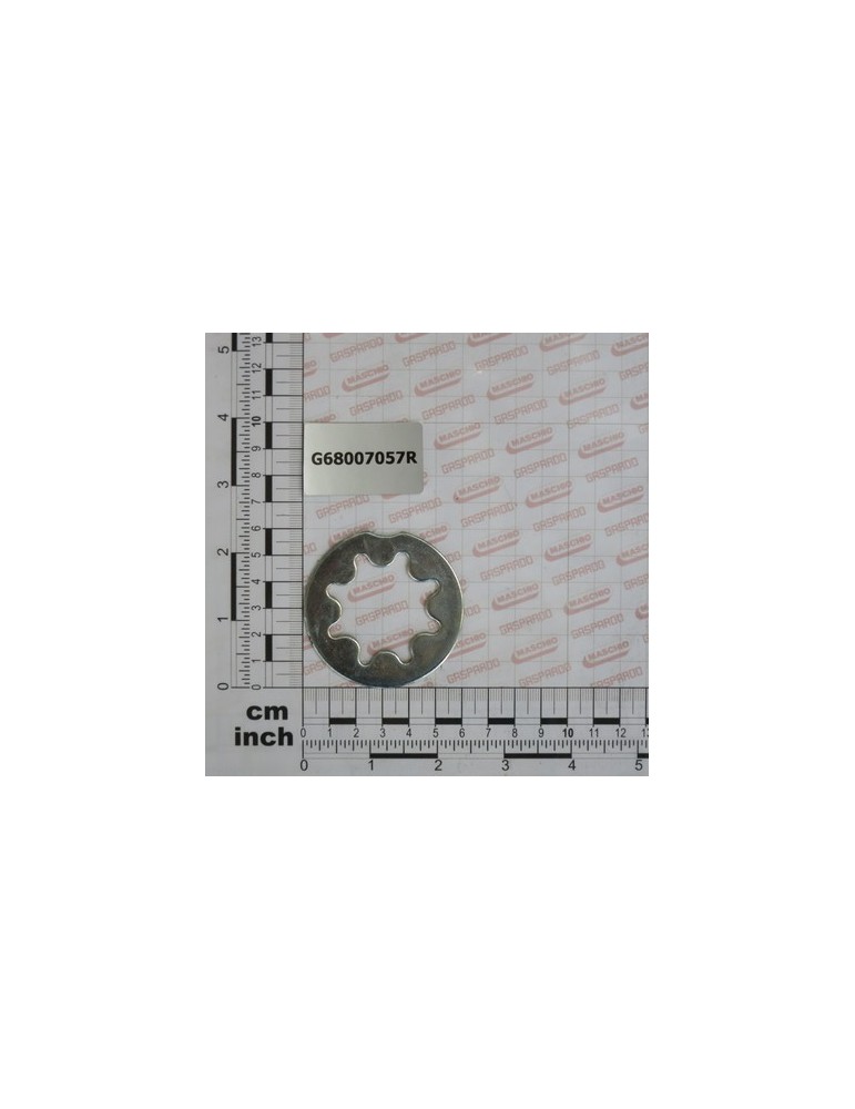 DISTRIBUTOR WASHER