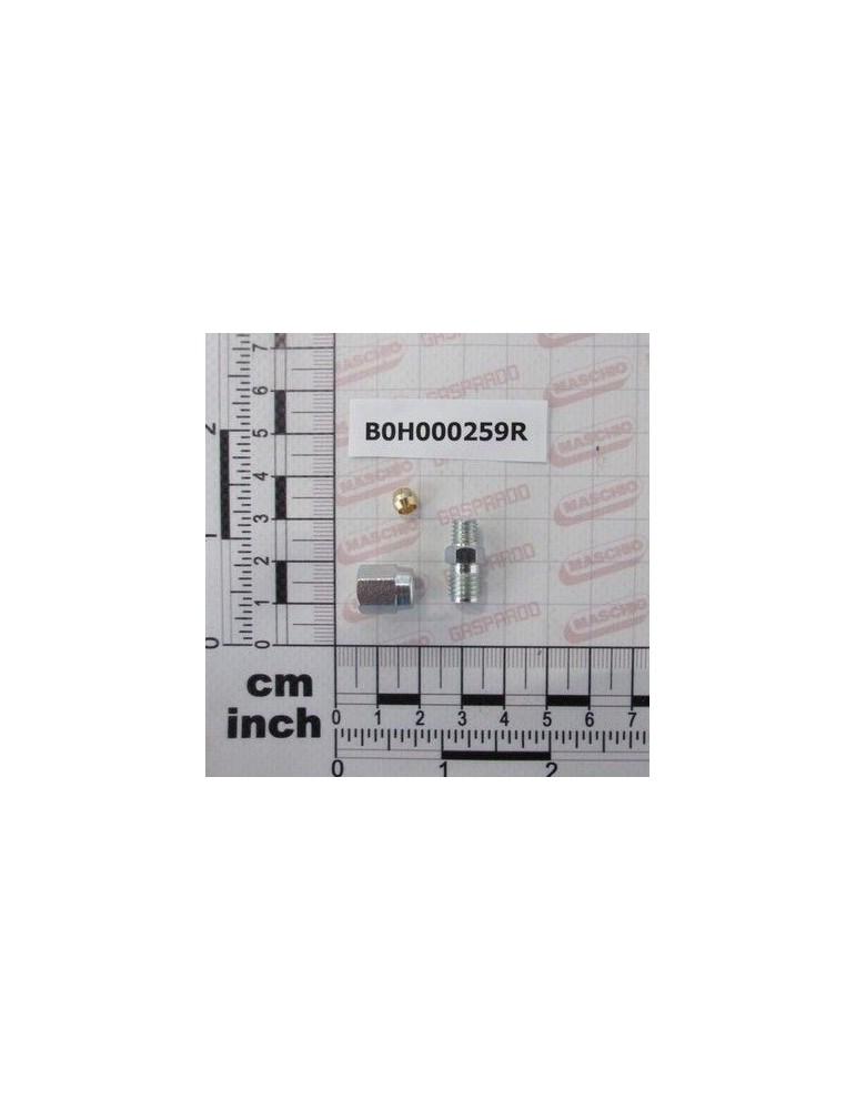 Maschio Gaspardo RACCORDO M6X1 COMPLETO B0H000259R