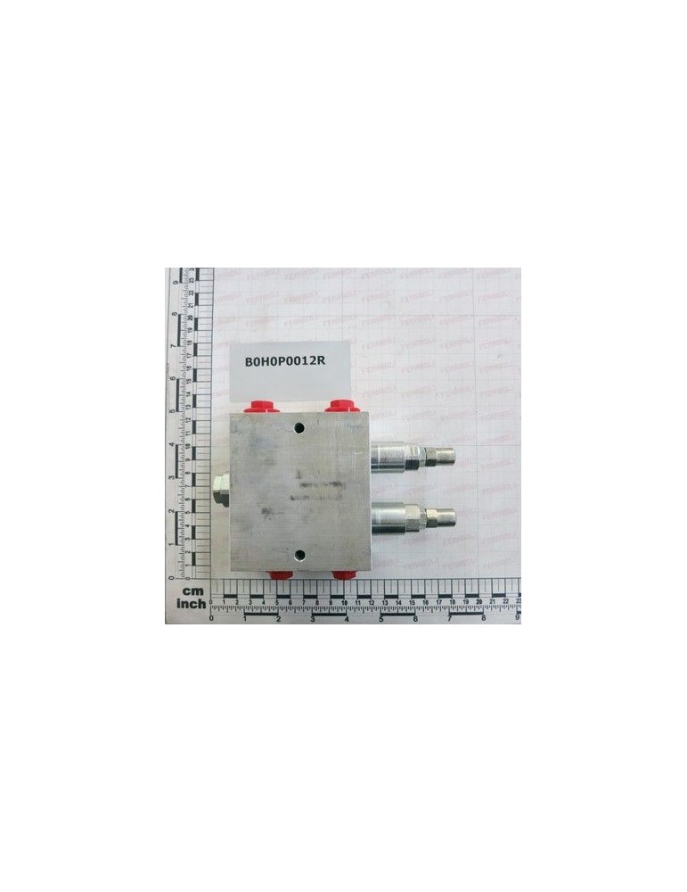Maschio Gaspardo BLOCCO ROTOPRESSA TIPO ï¾´ï¾´Oï¾´ï¾´ B0H0P0012R