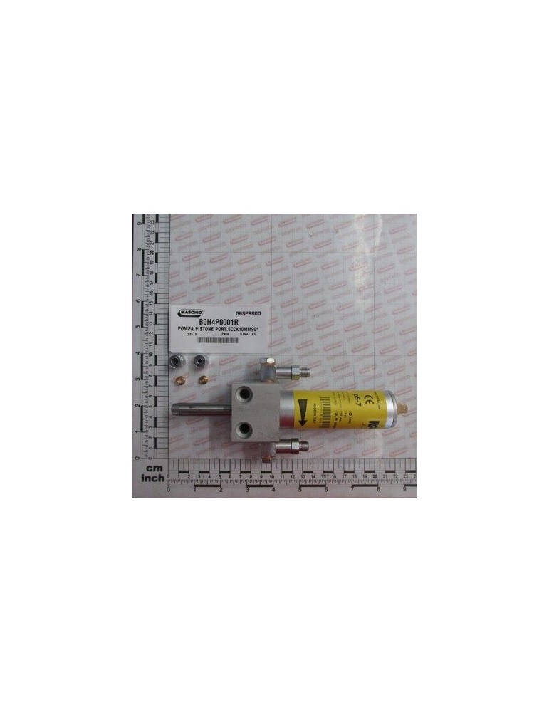 Maschio Gaspardo Pompa Piston B0H4P0001R