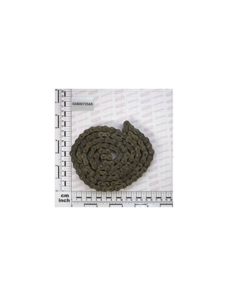 SEED VARIABLE-SPEED CHAIN