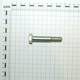 K355711 SAFETY SCREW