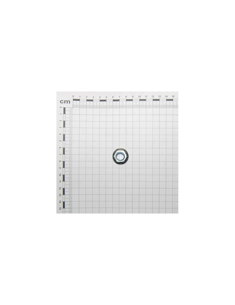 FLANGED NUT ZIGR.M10