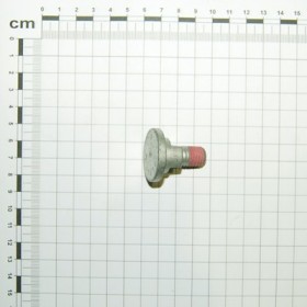 BLADE BOLT