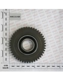 IDELR GEAR Z45