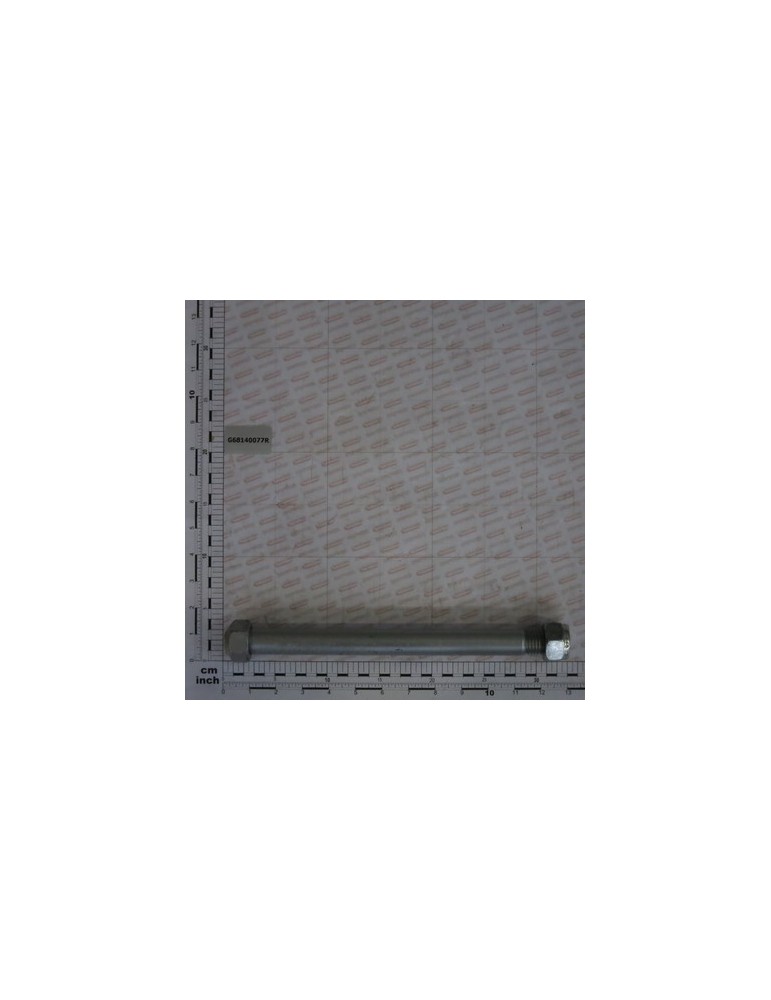 BOLT M24X295