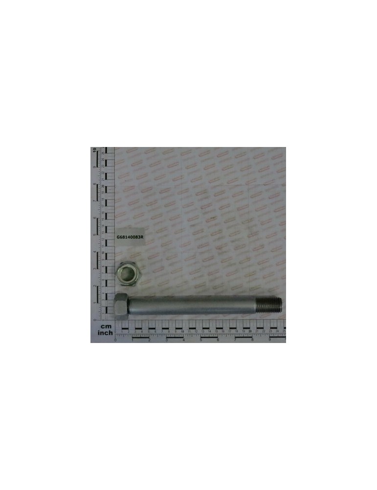 BOLT M24X225