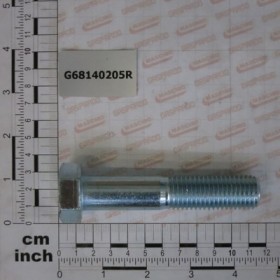 SCREW M20X100