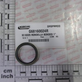 9518005 WASHER BONDED 1\"