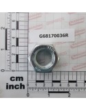 NUT M20 U5587