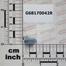 SCREW M6X12 8.8