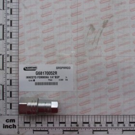FASTENER FEMALE 1/4\"BSP