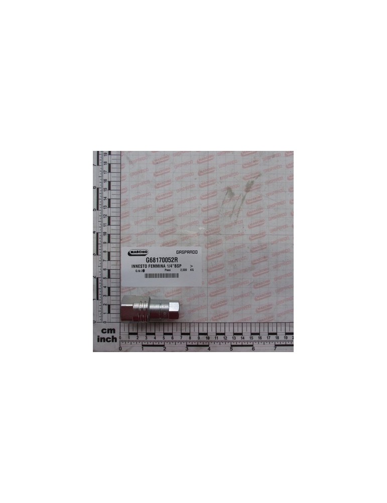 FASTENER FEMALE 1/4\"BSP