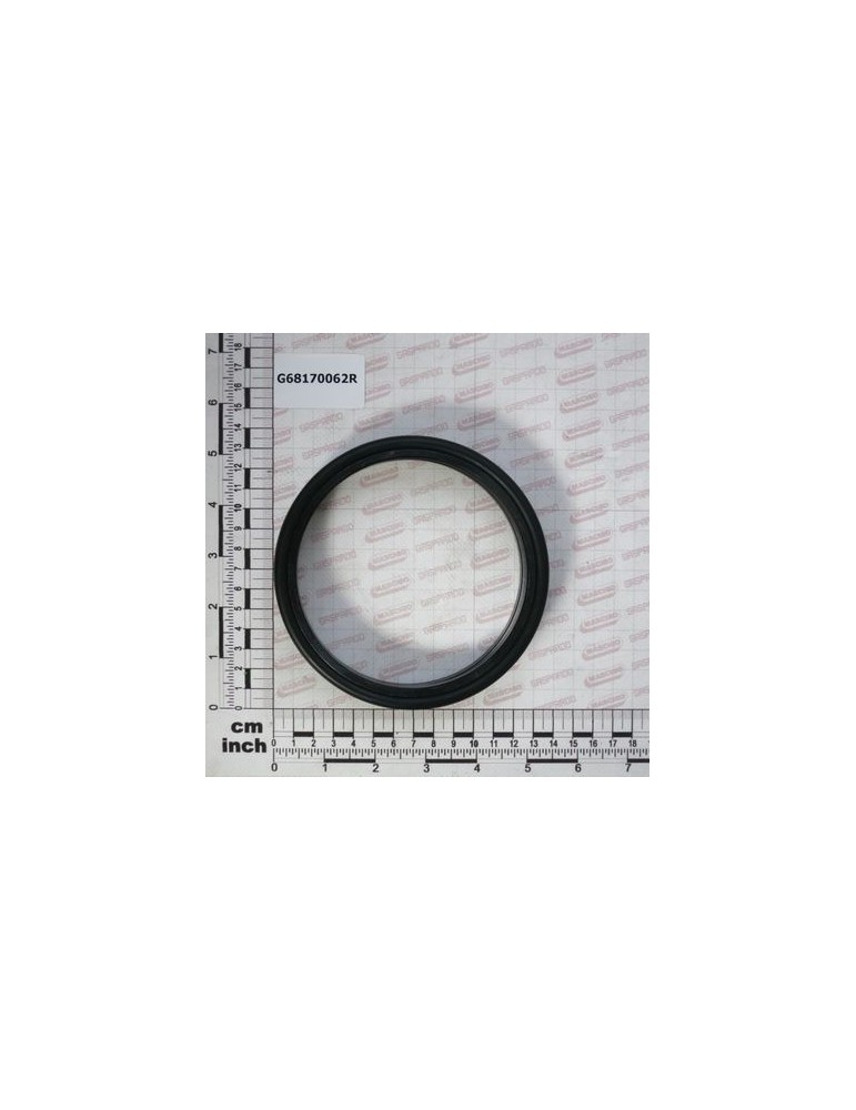 MECHANICAL SEAL GNL 5442